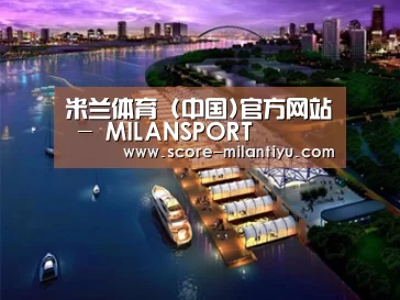 案例展示八