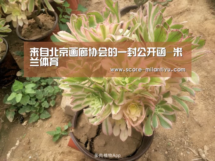 来自北京画廊协会的一封公开函-米兰体育(图2) 米兰网址